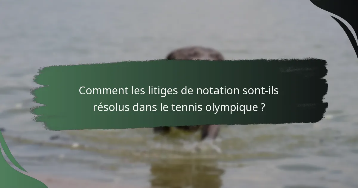 Comment les litiges de notation sont-ils résolus dans le tennis olympique ?
